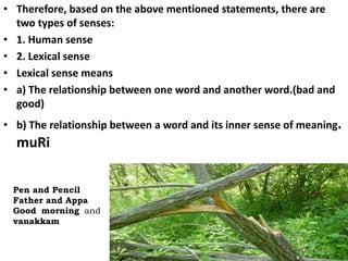 • Therefore, based on the above mentioned statements, there are
two types of senses:
• 1. Human sense
• 2. Lexical sense
• Lexical sense means
• a) The relationship between one word and another word.(bad and
good)
• b) The relationship between a word and its inner sense of meaning.
muRi
42
Pen and Pencil
Father and Appa
Good morning and
vanakkam
 