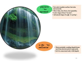 81
paravu
'to
spread'
• Not only in plain surface but also
downwards.
• More time, less force, less quantity.
• Later stage of kaci 'to ooze'.
• Advanced stage of u:Ru ‘to spring’.
u:Ru ‘to
secrete’ • Most probably sending liquid items
out from downwards to upwards.
• b) It is concerned only with liquid.
 