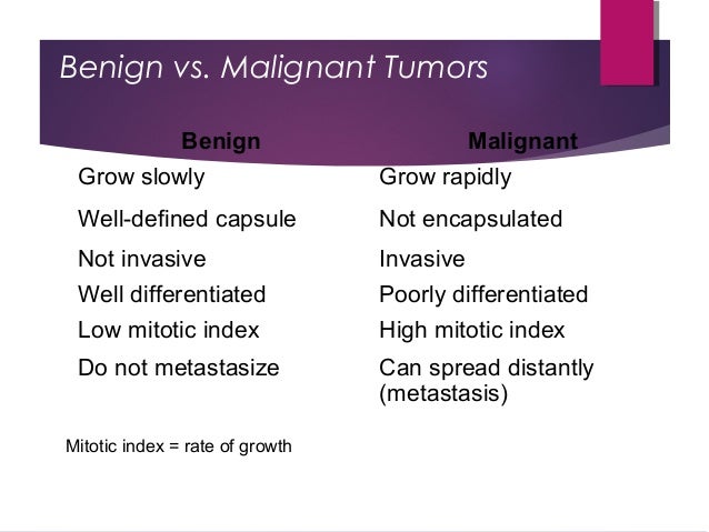 Neoplasia Definition Nomenclature And Spread Pathologia