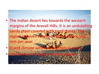 The Indian desert lies towards the western margins of the Aravali Hills. It is an undulalting sandy plain covered with sand dunes. This region receives very low rainfall below 150 mm per year.It arid climate with low vegetation cover.Luni is the only large river this region.