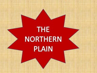 THE NORTHERN PLAIN