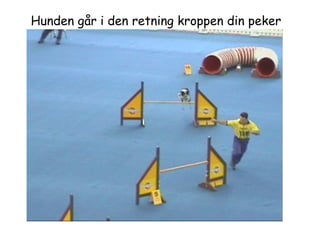 Hunden går i den retning kroppen din peker 