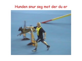 Hunden snur seg mot der du er 
