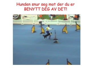 Hunden snur seg mot der du er BENYTT DEG AV DET! 