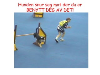 Hunden snur seg mot der du er BENYTT DEG AV DET! 