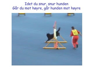 Idet du snur, snur hunden Går du mot høyre, går hunden mot høyre 