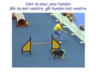 Idet du snur, snur hunden Går du mot venstre, går hunden mot venstre 