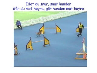 Idet du snur, snur hunden Går du mot høyre, går hunden mot høyre 