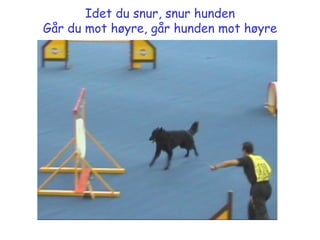 Idet du snur, snur hunden Går du mot høyre, går hunden mot høyre 