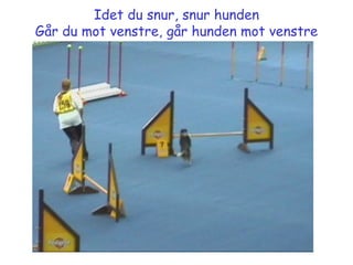 Idet du snur, snur hunden Går du mot venstre, går hunden mot venstre 