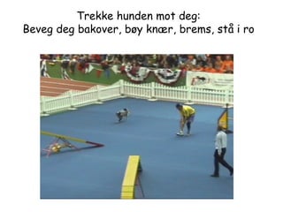 Trekke hunden mot deg: Beveg deg bakover, bøy knær, brems, stå i ro 