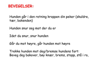 Hunden går i den retning kroppen din peker (skuldre, tær, bakenden) Hunden snur seg mot der du er Idet du snur, snur hunden Går du mot høyre, går hunden mot høyre Trekke hunden mot deg/bremse hundens fart: Beveg deg bakover, bøy knær, brems, stopp, stå i ro,  BEVEGELSER: 