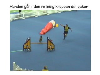 Hunden går i den retning kroppen din peker 