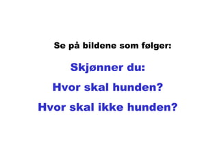 Skjønner du: Hvor skal hunden? Hvor skal ikke hunden? Se på bildene som følger: 