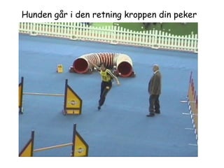 Hunden går i den retning kroppen din peker 