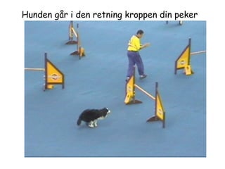 Hunden går i den retning kroppen din peker 