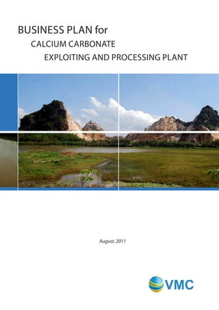 Business Plan for
  CalCium CarBonate
    exPloiting and ProCessing Plant




               August, 2011




                              VMC
 