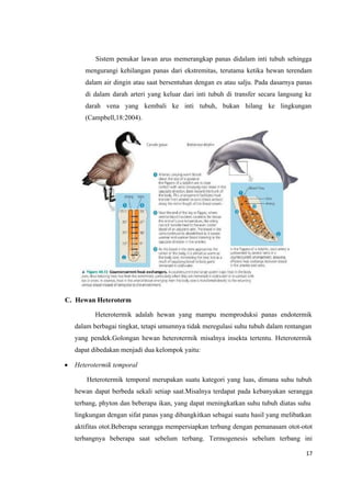 17
Sistem penukar lawan arus memerangkap panas didalam inti tubuh sehingga
mengurangi kehilangan panas dari ekstremitas, terutama ketika hewan terendam
dalam air dingin atau saat bersentuhan dengan es atau salju. Pada dasarnya panas
di dalam darah arteri yang keluar dari inti tubuh di transfer secara langsung ke
darah vena yang kembali ke inti tubuh, bukan hilang ke lingkungan
(Campbell,18:2004).
C. Hewan Heteroterm
Heterotermik adalah hewan yang mampu memproduksi panas endotermik
dalam berbagai tingkat, tetapi umumnya tidak meregulasi suhu tubuh dalam rentangan
yang pendek.Golongan hewan heterotermik misalnya insekta tertentu. Heterotermik
dapat dibedakan menjadi dua kelompok yaitu:
 Heterotermik temporal
Heterotermik temporal merupakan suatu kategori yang luas, dimana suhu tubuh
hewan dapat berbeda sekali setiap saat.Misalnya terdapat pada kebanyakan serangga
terbang, phyton dan beberapa ikan, yang dapat meningkatkan suhu tubuh diatas suhu
lingkungan dengan sifat panas yang dibangkitkan sebagai suatu hasil yang melibatkan
aktifitas otot.Beberapa serangga mempersiapkan terbang dengan pemanasam otot-otot
terbangnya beberapa saat sebelum terbang. Termogenesis sebelum terbang ini
 