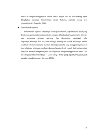 18
dilakukan dengan menggetarkan daerah toraks, dengan cara ini suhu terbang dapat
ditingkatkan misalnya Monotremata seperti Echidna, mamalia (unta), aves
(hummingbirds) (Soewolo. 2000).
 Heterotermik regional
Heterotermik regional sebenarnya adalah poikilotermik, seprti teleostei besar yang
dapat mencapai suhu tubuh dalam (suhu jaringan dalam) cukup tinggi melalui aktivitas
otot, sementara jaringan periveral dan ekstremitas mendekati suhu
lingkungan.Misalnya ikan hiu, tuna serangga terbang dan contoh khususnya adalah
skroktum beberapa mamalia. Skrotum beberapa mamalia yang menggantungi tetes di
luar tubuhnya, sehingga membuat skrotum bersuhu lebih rendah dari bagian tubuh
yang lain. Skrotum mengkerut pada saat dingin dan mengembang pada saat panas., hal
ini bertujuan untuk melindungi ‘’ Overheating’’ testes yang dapat berpengaruh jelek
terhadap produksi sperma (Soewolo. 2000).
 