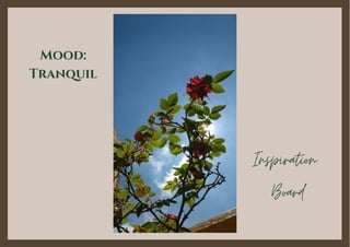 Inspiration
Board
Mood:
Tranquil
 