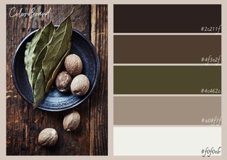 #a08f7f
#f0f0eb
#4c462c
#2c211f
ColorBoard
#4f3e2f
 