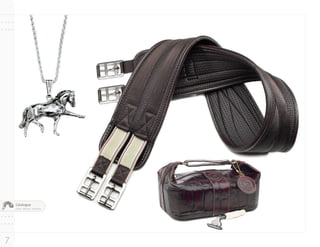 Catalogue
    Client: Malvern Saddlery




7
 