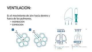 VENTILACION:
Es el movimiento de aire hacia dentro y
fuera de los pulmones.
• INSPIRACION
• ESPIRACION
 