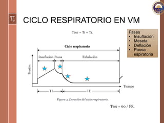 CICLO RESPIRATORIO EN VM
Fases
•  Insuflaciòn
•  Meseta
•  Deflaciòn
•  Pausa
espiratoria
 