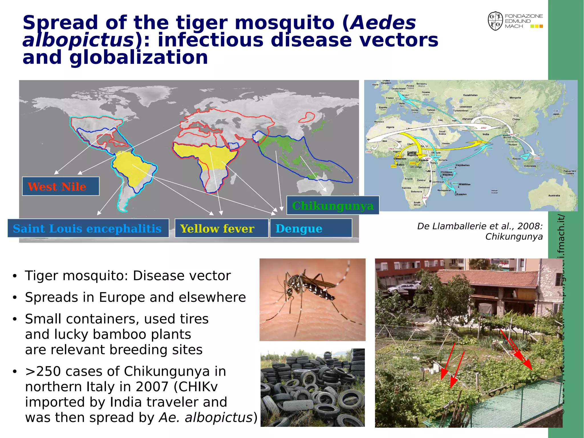 © 2014, Neteler et al. - http://gis.cri.fmach.it/ 
Spread of the tiger mosquito (Aedes 
albopictus): infectious disease vectors 
and globalization 
Yellow fever Dengue 
West Nile 
Saint Louis encephalitis 
Chikungunya 
De Llamballerie et al., 2008: 
Chikungunya 
● Tiger mosquito: Disease vector 
● Spreads in Europe and elsewhere 
● Small containers, used tires 
and lucky bamboo plants 
are relevant breeding sites 
● >250 cases of Chikungunya in 
northern Italy in 2007 (CHIKv 
imported by India traveler and 
was then spread by Ae. albopictus) 
 