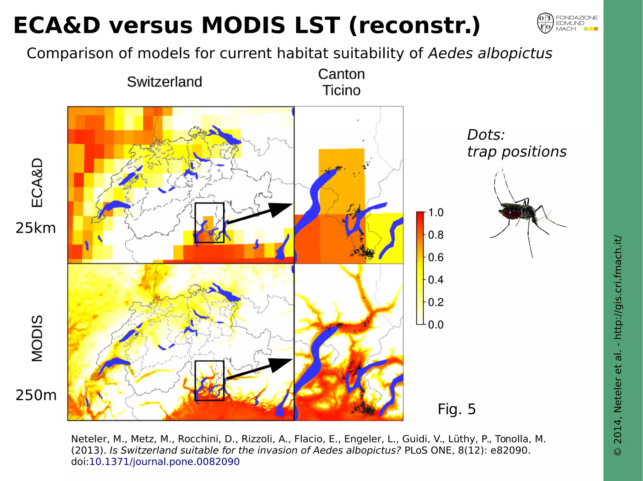 © 2014, Neteler et al. - http://gis.cri.fmach.it/ 
ECA&D versus MODIS LST (reconstr.) 
Comparison of models for current habitat suitability of Aedes albopictus 
Dots: 
trap positions 
Fig. 5 
Neteler, M., Metz, M., Rocchini, D., Rizzoli, A., Flacio, E., Engeler, L., Guidi, V., Lüthy, P., Tonolla, M. 
(2013). Is Switzerland suitable for the invasion of Aedes albopictus? PLoS ONE, 8(12): e82090. 
doi:10.1371/journal.pone.0082090 
25km 
250m 
 