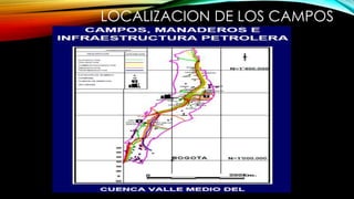 LOCALIZACION DE LOS CAMPOS
 