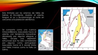 Esta limitada por los sistemas de fallas de
Salinas al Occidente, Mulatos al oriente,
Ibagué al sur y Bucaramanga al norte en
cercanías a la población del Banco.
Se comporta como una cuenca
intracordillerana, basculada hacia el
oriente, con tendencia monoclinal,
disturbada por algunos pliegues y
fallas. Ocupa una depresión
estructural que ha sido considerada
por algunos como semi-graben
basculado hacia el E donde limita
con fallas inversas como la Falla La
Salina.
 