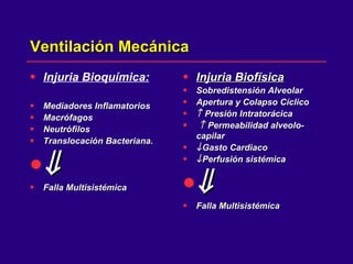 Ventilación Mecánica Injuria Bioquímica: Mediadores Inflamatorios Macrófagos Neutrófilos Translocación Bacteriana.  Falla Multisistémica Injuria Biofísica Sobredistensión Alveolar Apertura y Colapso Cíclico    Presión Intratorácica    Permeabilidad alveolo-capilar  Gasto Cardiaco  Perfusión sistémica  Falla Multisistémica 