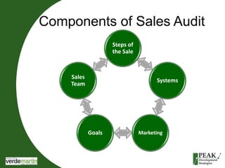 Components of Sales Audit 
Steps of 
the Sale 
Systems 
Goals Marketing 
Sales 
Team 
 