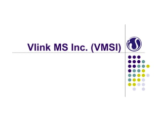 Vlink MS Inc. (VMSI)
 