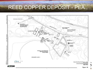 REED COPPER DEPOSIT - PEA
 