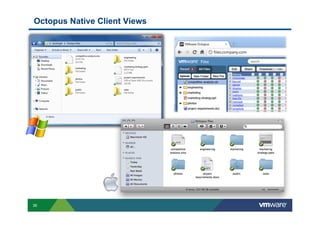 Octopus Native Client Views




36
 