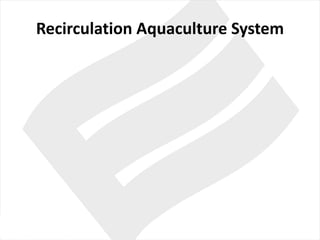 Recirculation Aquaculture System
 