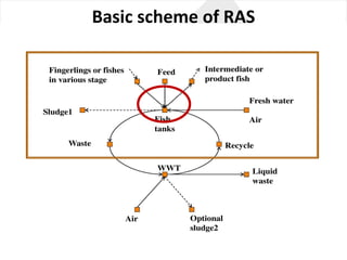 Basic	scheme of	RAS
 
