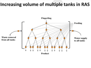 Increasing volume of	multiple tanks in RAS
 