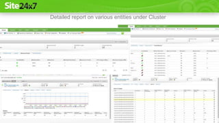 Detailed report on various entities under Cluster
 