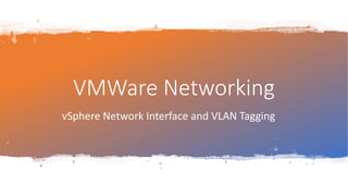 VMWare Networking
vSphere Network Interface and VLAN Tagging
 