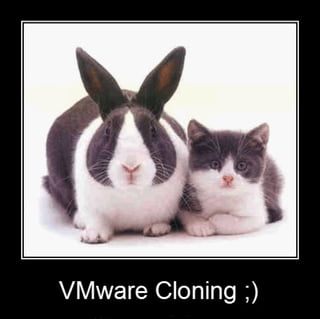 Create Linked Clone VPS from a Template Snapshot V1 - VMware Station Cloning