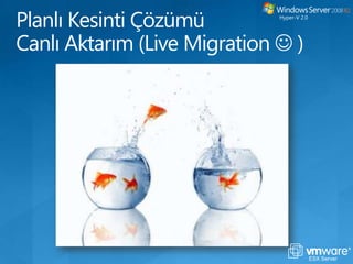 Storage TerminolojisiHyper-V 2.0ESX Server