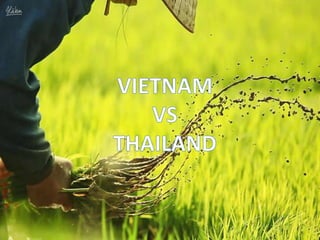 Tax breaks offered to foreign investors.