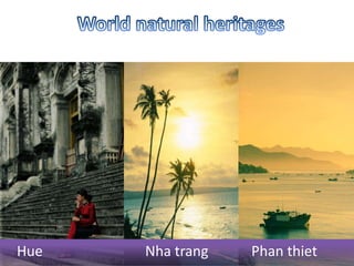 OPEN POLICYClear policy to promote tourism developmentStrengthening professional skills & service qualityTax breaks offered to foreign investor