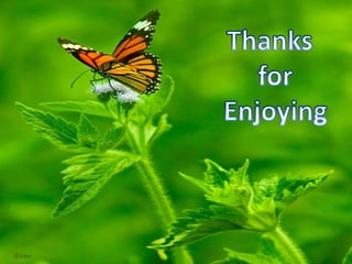 World natural heritages	Hue 			NhatrangPhanthiet