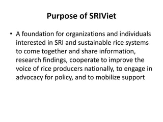 Purpose of SRIViet
• A foundation for organizations and individuals
interested in SRI and sustainable rice systems
to come...
