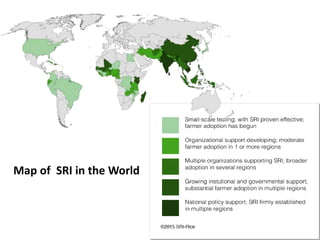 Map of SRI in the World
 