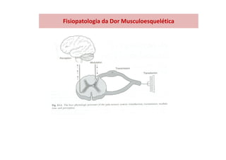 Fisiopatologia da Dor Musculoesquelética
 